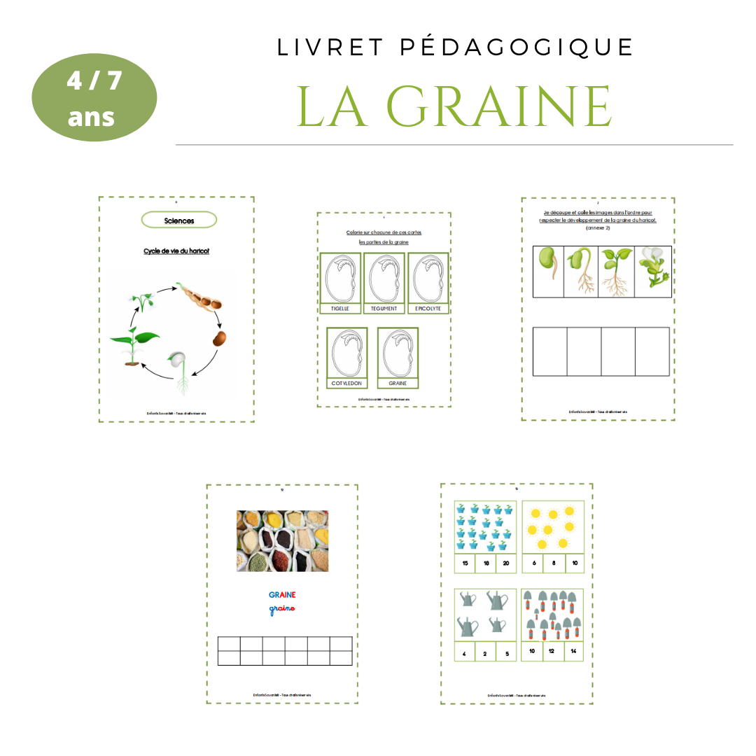 La graine