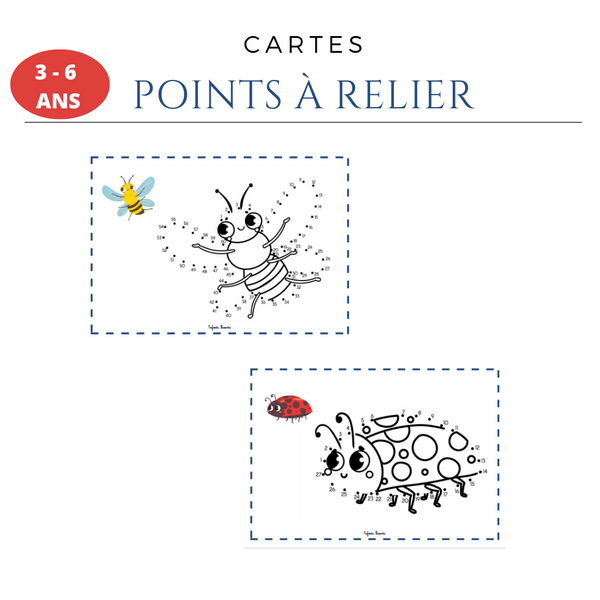 Cartes : points à relier - Les insectes