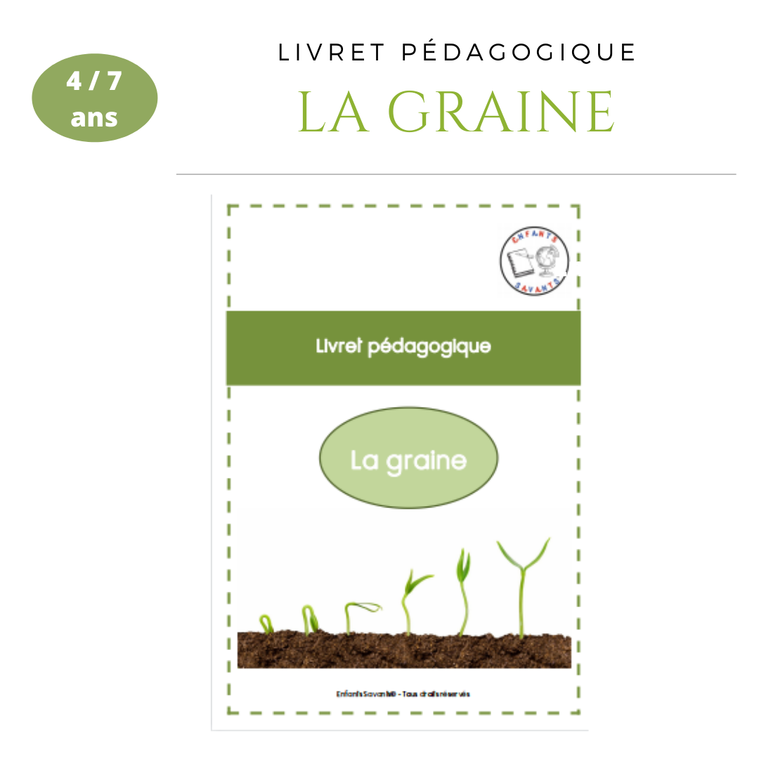 La graine