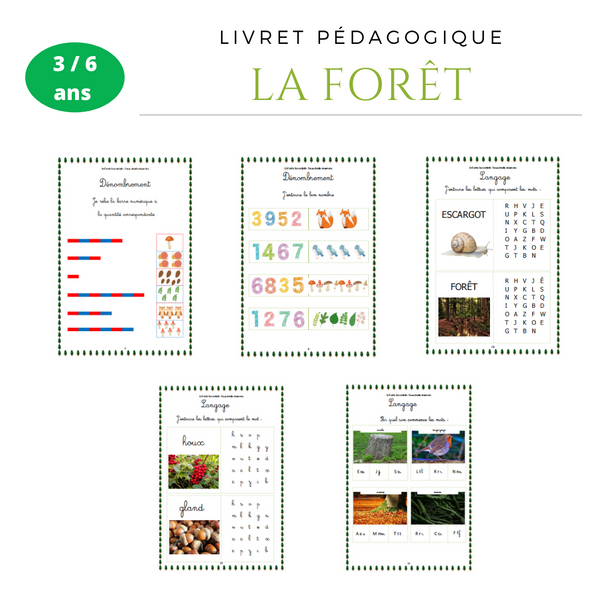 La forêt