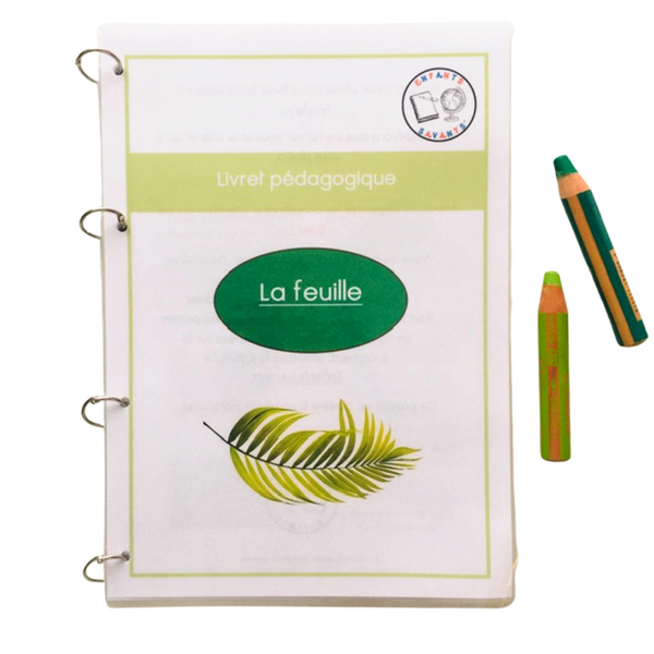 La feuille