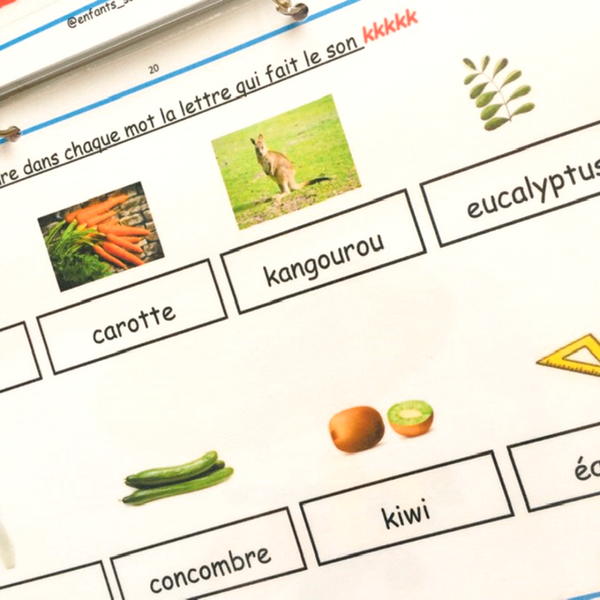 Phonologie - les sons simples