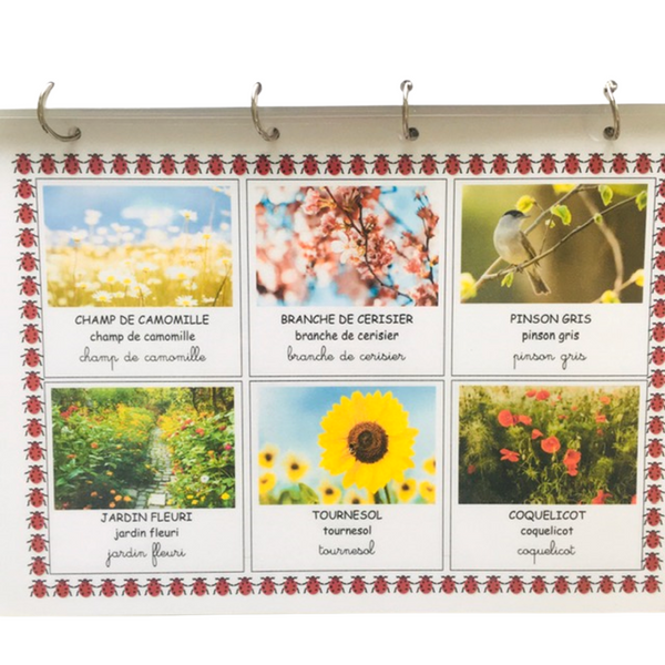 Saison - Le printemps