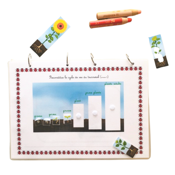 Saison - Le printemps