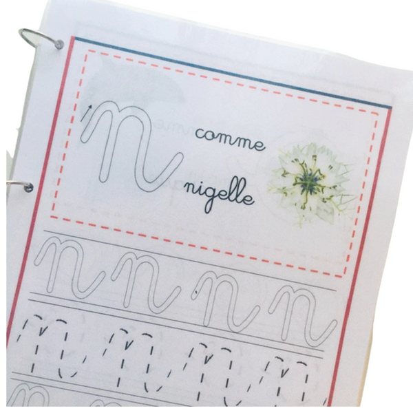 Écriture des lettres - cursives